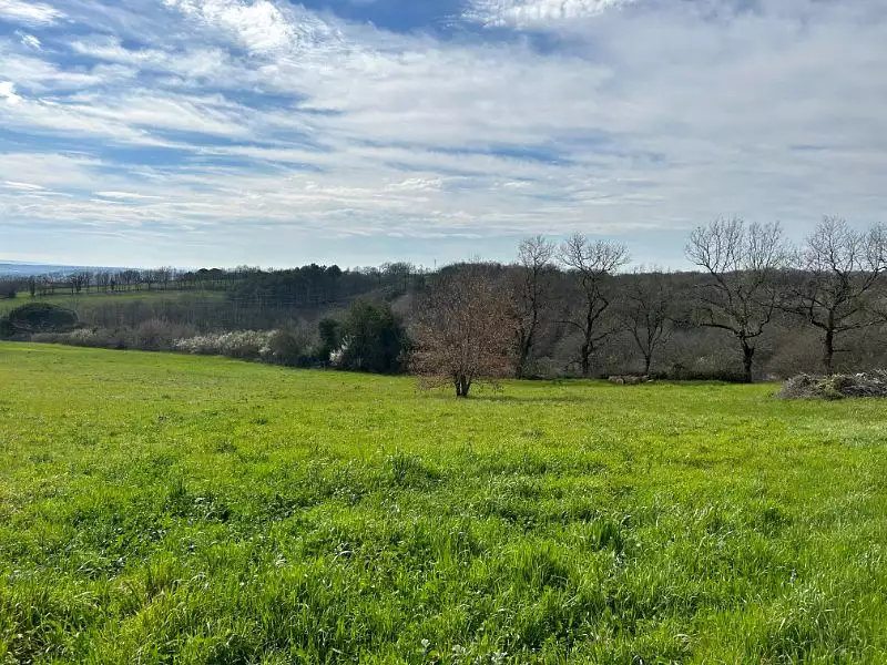 Terrain, 959 m²