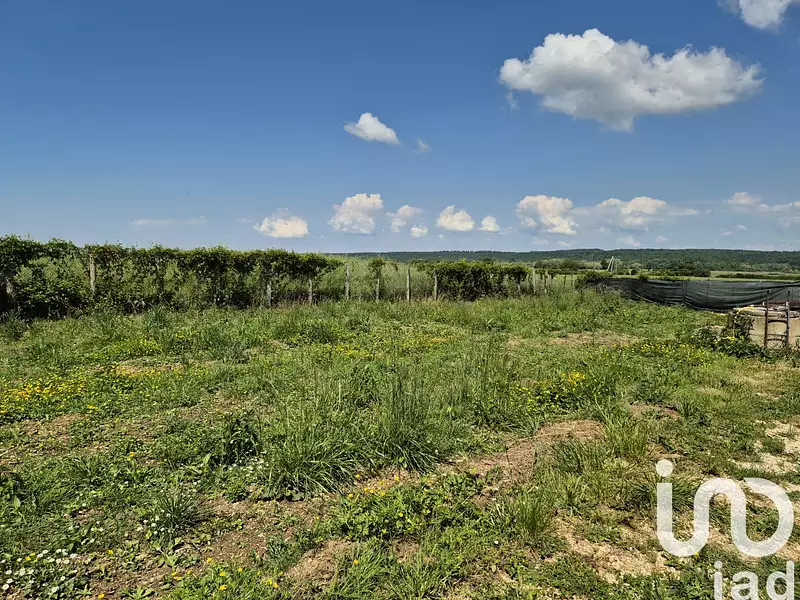 Terrain, 1 695 m²