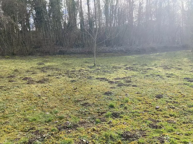 Terrain, 1 099 m²